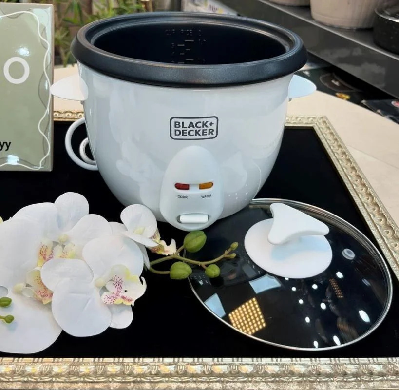 پلوپز بلک اند دکر مدل RC1050